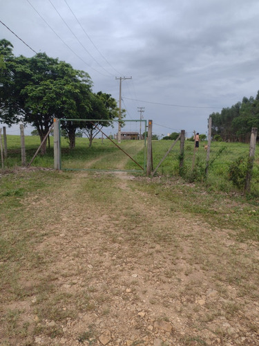 Vende Se Sítio Na Cidade De Pereiras Sp 30.000 Metros 2 Casa
