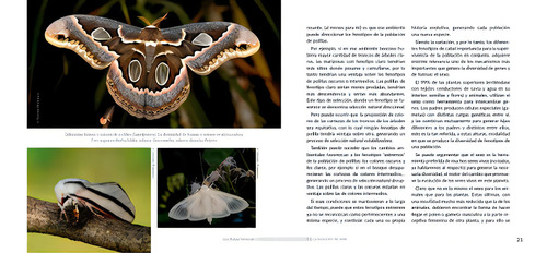Invencion Del Sexo Y La Evolucion De La Vida, De Volkmann Luis Rafael., Vol. Unico. Editorial Ecoval, Tapa Blanda, Edición Primera En Español, 2023