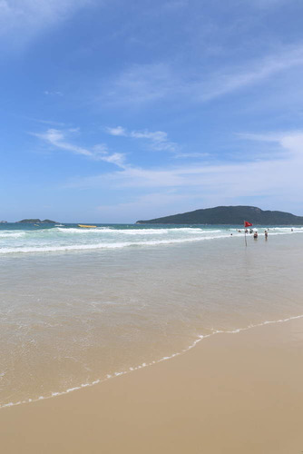 Imagem 13 de 16 de Apartamento Em Florianópolis - Sc - Ad0011_ccon