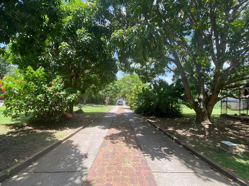 Imagen 8 de 8 de Se Vende Terreno 7000m² Los Chorros