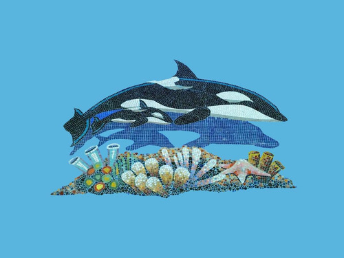 Imagen 2 de 3 de Figura Orca Con Bebe De 2.50 Mts. Para Alberca En Mosaico
