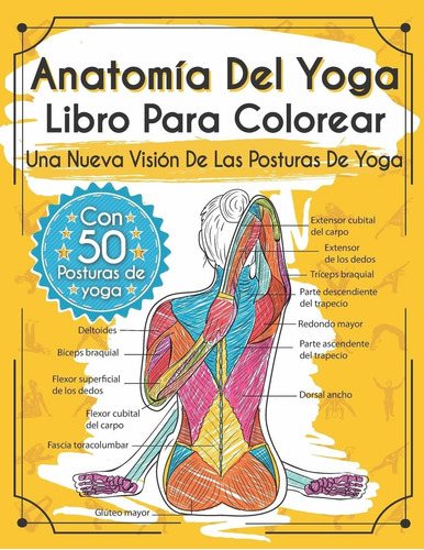Libro Anatomía Del Yoga  Para Colorear: Una Nueva Vis Lrf
