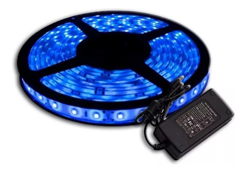 Tira Led Color Azul 5m Exterior E Interior Kit Para 220v