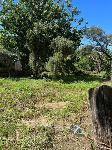 Imagen 7 de 7 de Lote En Venta Talar De Mendiolaza