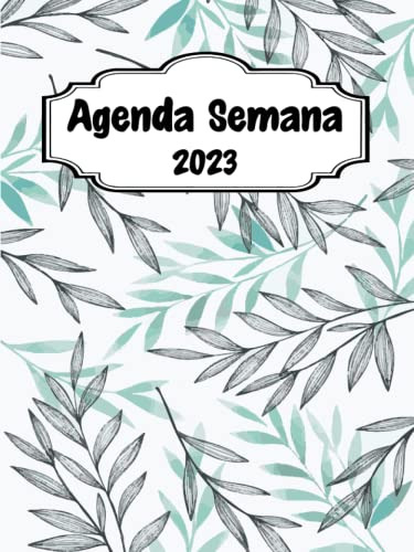 Agenda Semana: Planificador Semanal Diario Y Mensual Del 1 D