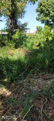Imagen 9 de 11 de Venta Terreno En Centro De Palo Negro Ocumarito Edo Aragua.