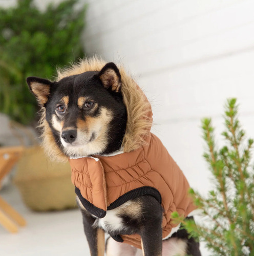 Buzo Abrigo Campera Ropa Perro Small Medium Large Cocooning Color Caramel Small Urban Parka 5833