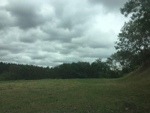 Imagem 23 de 30 de Área À Venda, 20000 M² Por R$ 5.000.000 - Éden - Sorocaba/sp, Próximo Ao Paço Municipal. - Ar0007 - 67640769