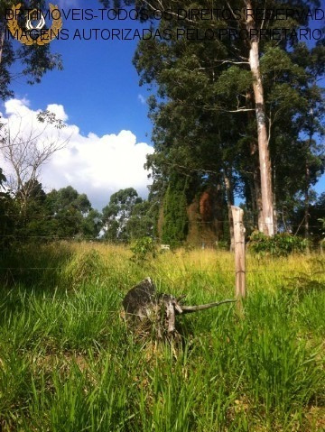 Imagem 12 de 22 de Terreno - Te00125 - 34466729