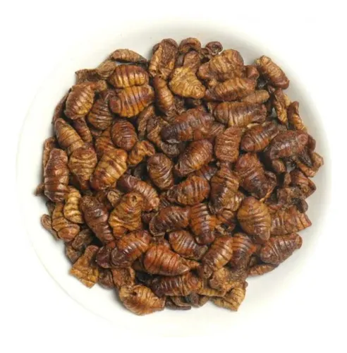 comprar Pupas De Gusanos De La Seda 1kg Alimento Pa Erizo Tortugas