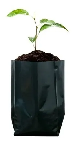Bolsa Viviero 8+3+3*18*8