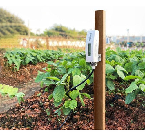 Sensor De Humedad Del Suelo Ecowitt Wh51l Con Sonda De De