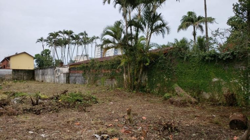 Imagem 3 de 3 de Area 900m² Lado Praia A 100 Metros Do Mar - Tmx1