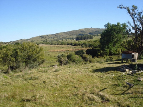 Imagen 6 de 17 de Campo 96 Has En Carape Cuenta Con Costa De Arroyo.- Ref: 798