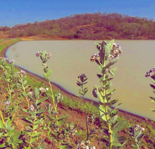 Imagen 9 de 9 de Excelente Finca Agroturistica
