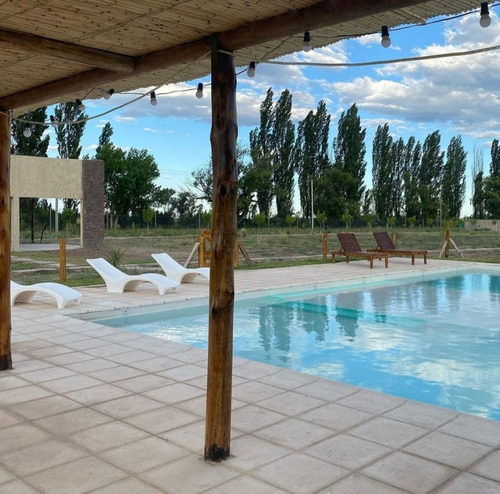 Vendo Complejo De Cabañas 5 Has Con 5 Cabañas Y 3.5 Has De Parral Con Tela. Las Paredes, San Rafael, Mendoza