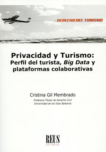 Privacidad Y Turismo: Perfil Del Turista, Big Data Y Platafo