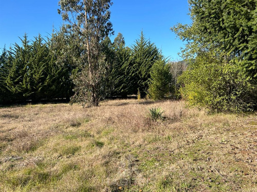 Arriendo Sitio Urbano Comercial 5.000 M2 Sector Patagual
