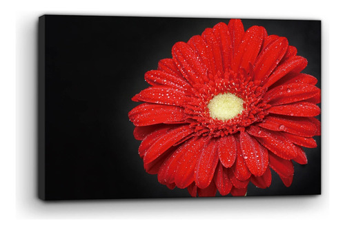 Cuadro Moderno Canvas Flor Gerbera Roja 90x140cm