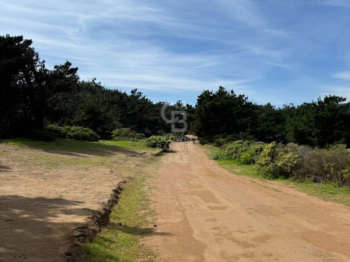 Para Proyecto De Inversión Vista Al Mar 20.000m2