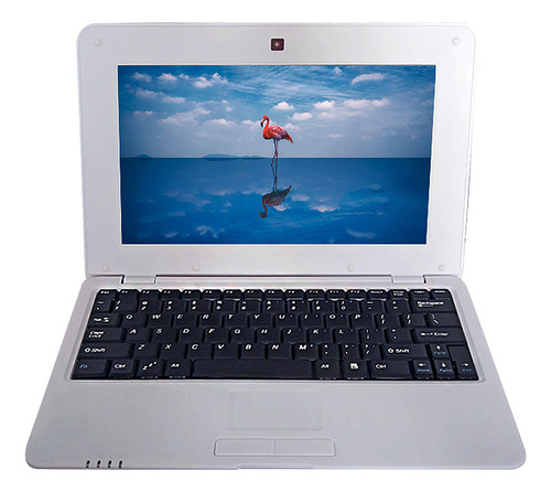 Netbook Silver Plug Eu Actions.. 1/1g+8g/1024*600 10,1 Pulga