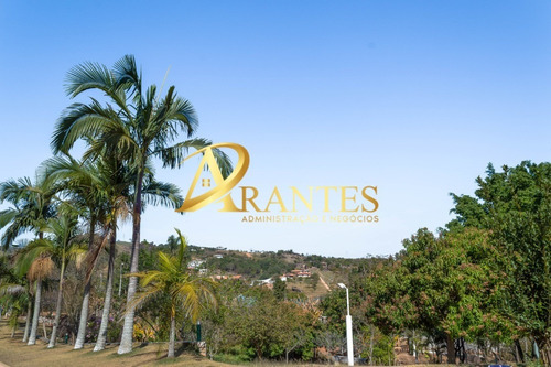 Imagem 27 de 30 de Chacara - Ch00230 - 69942685