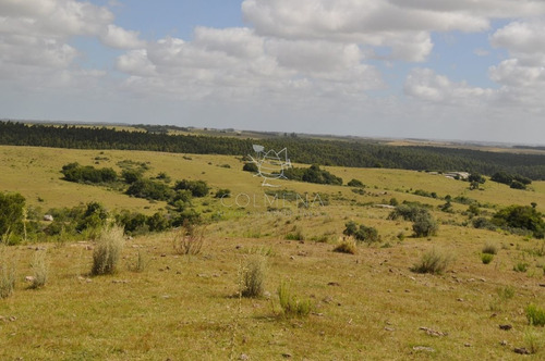 Imagen 10 de 30 de Venta De Chacras De 5 Has Se Ubicado En Garzon - Garzón Garzon