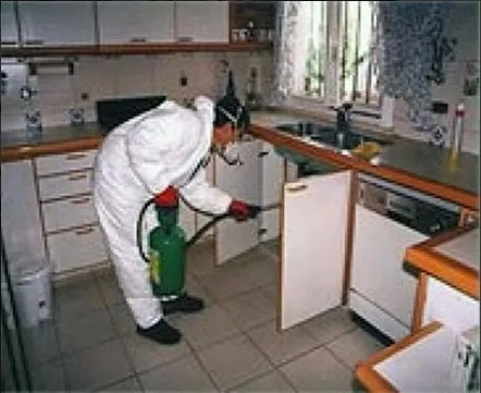 Imagen 3 de 10 de Servicion Fumigaciones Chiripas Cucarachas Termitas Roedores