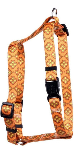 Yellow Dog Design Cleo Naranja Estilo Romano  H  Arnes De P