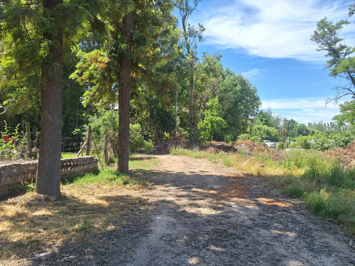 Terreno Con Gran Galpón, Bodegas, Oficinas Y Casa
