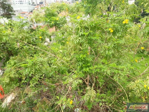 Imagem 9 de 15 de Terreno À Venda, 788 M² - Vila Moreira - Guarulhos/sp - Ai12044