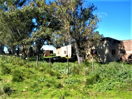 Imagen 6 de 9 de Campo De 1040 Has, Bahía Blanca, Ruta 33, Km 23 Al Oeste