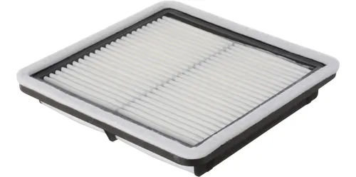 Filtro De Aire Profesional Acdelco A3109c