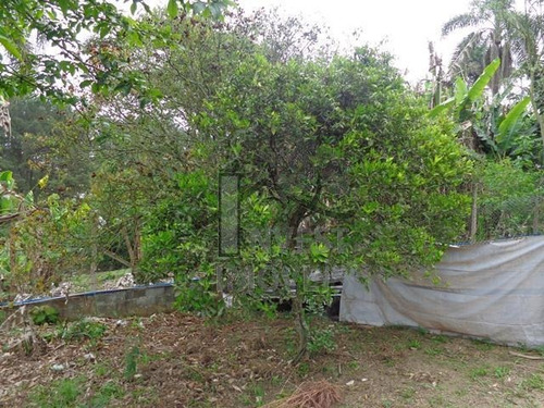 Imagem 6 de 6 de Cód 1667 - Lindo Terreno Com Área De 1.000 M² Ideal Para For - 1667