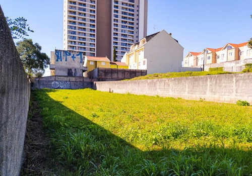 Imagem 5 de 9 de Terreno Para Alugar - 00823.004