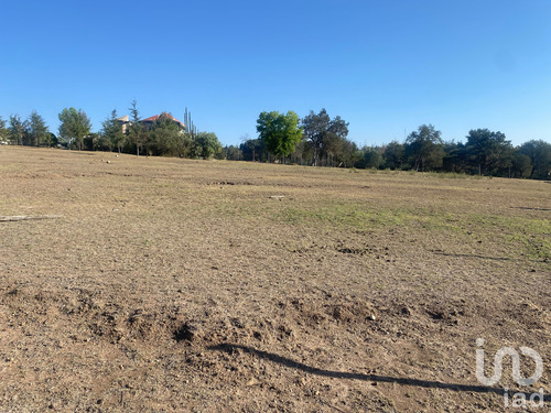 Venta Terreno 0 Ambiente La Mora