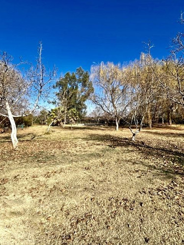 Parcela En Venta En Curimon, San Felipe