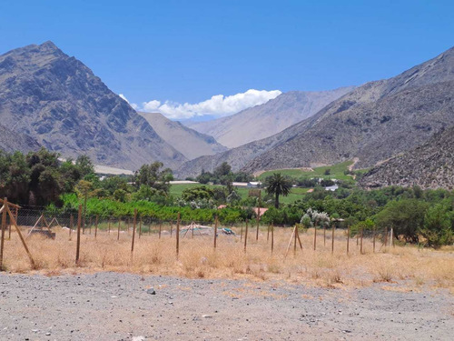 Se Vende Terreno Cercano A Vicuña (82639)