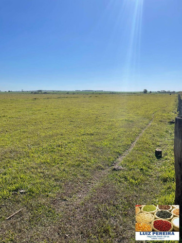 Imagem 2 de 5 de Fazenda À Venda Em Dourados Ms - De 535 Hectares (dupla Aptidão) - 1718