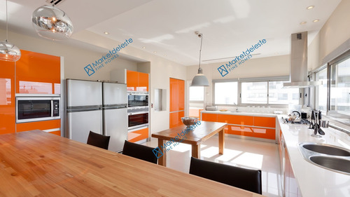 Imagen 10 de 29 de Penthouse En La Brava