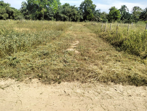 Lotes Con Proyecto Urbanístico En Riverita - Huila