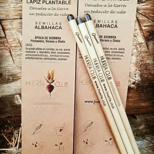 Lápices Y Lapiceras Plantables My Green