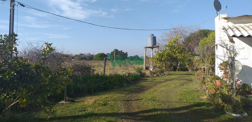 Imagen 2 de 5 de Venta Chacra Próxima A Salinas - Balnearios Salinas