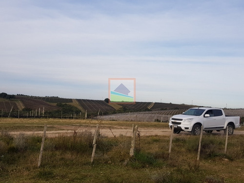 Imagen 1 de 14 de Chacra 10 Hás En Garzón