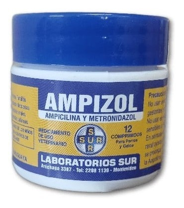 Ampizol Antibiótico Para Infecciones Bucal 12 Comp Sur