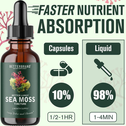 Suplemento Betterbrand Betterlungs Sea Moss Tincture Drops
