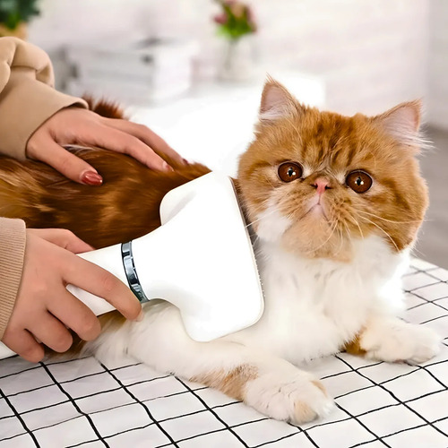 Kit Completo Para Pets: Aparador, Secador E Bebedouro Filtro Dourado