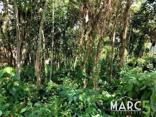Imagem 7 de 12 de Lote Em Condominio - Chacaras Colinas Verdes - 1816