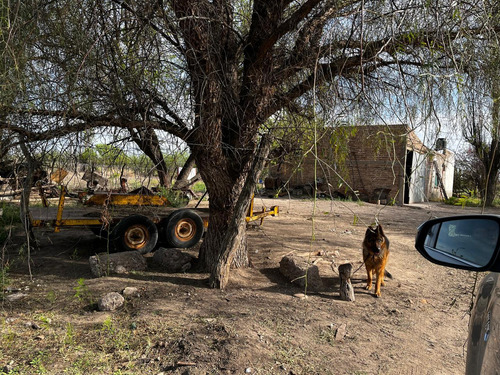 Finca Con Produccion De Alfalfa Y Vivienda