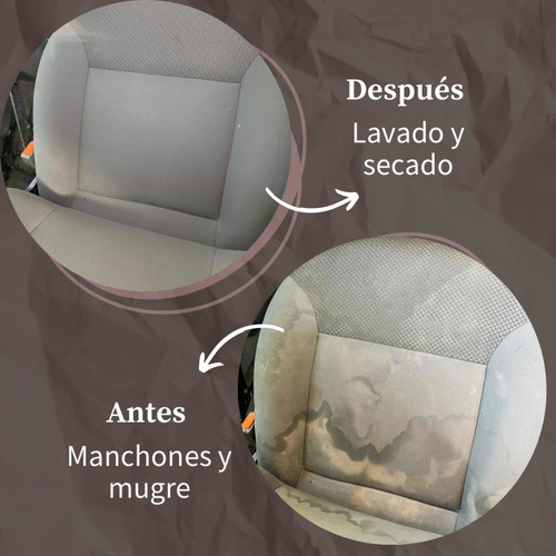 Imagen 1 de 5 de Limpieza De Tapizados De Todo Tipo
